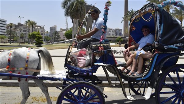 الحنطور بشوارع بورسعيد