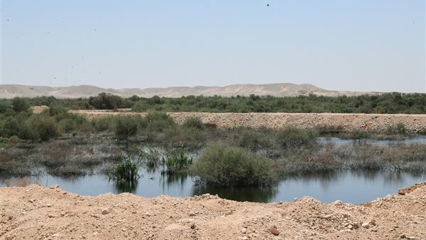 انهيار حوض بالغابة