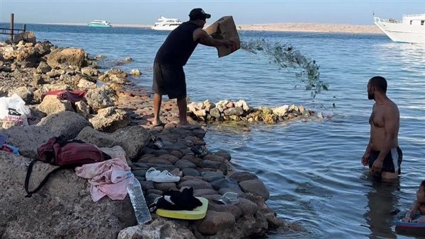  حارس شاليهات يلقي