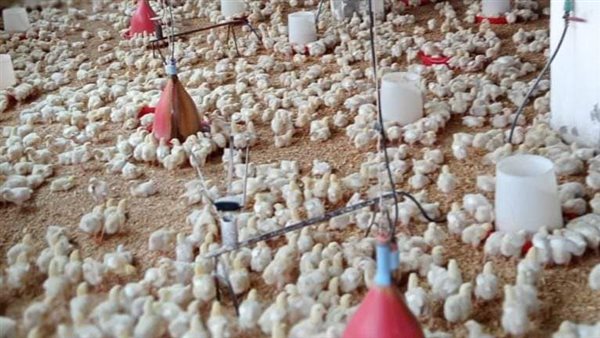 المرور على مزارع