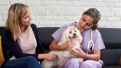 مستشفى في بلجيكا يسمح بزيارة الحيوانات لأصحابها المرضى