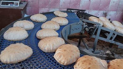 ضبط 357 عبوة أدوية بيطرية منتهية الصلاحية ومخبز لتجميعه 204 بطاقات تموينية بالبحيرة