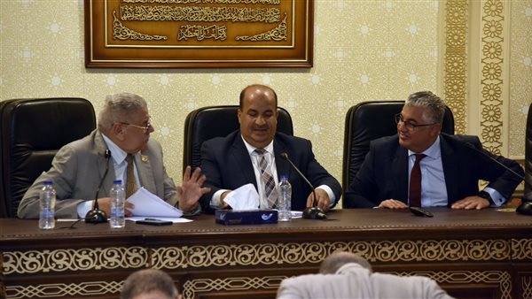 اقتصادية النواب