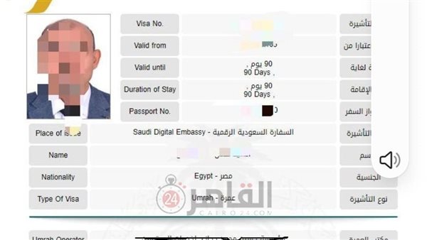 التأشيرة الإلكترونية