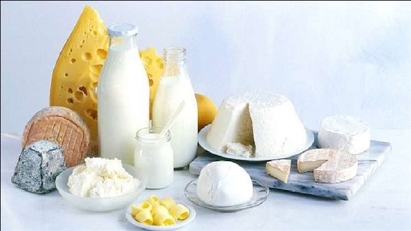 منتجات الألبان 