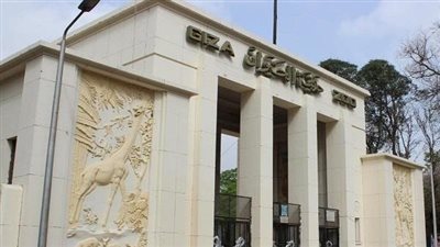 الانتهاء من تطوير وافتتاح حديقة حيوان الجيزة العام المقبل