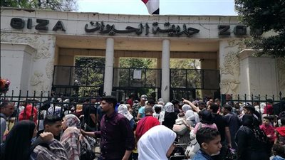 الزراعة: بدء تنفيذ مخطط تطوير حديقة الحيوان غدًا | بث مباشر