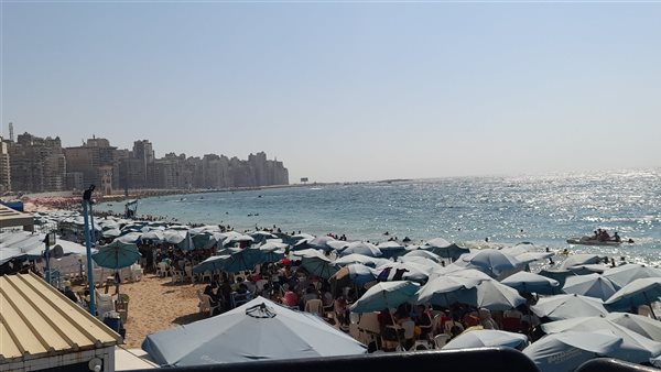 اقبال على شواطئ الإسكندرية