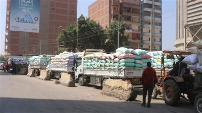 توريد أكثر من 101 ألف طن قمح لشون وصوامع المنوفية 