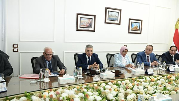 لجنة تشمل قناة السويس