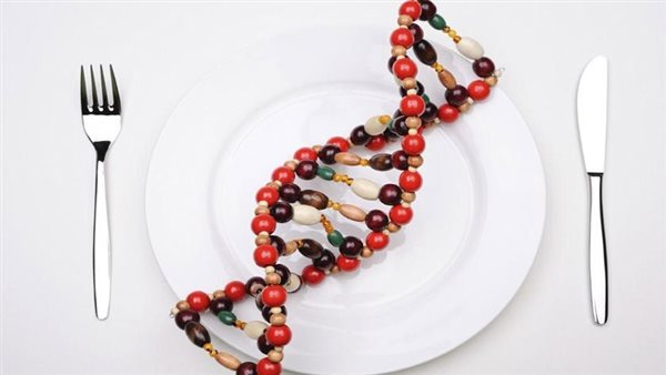 ريجيم DNA لإنقاص