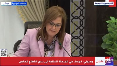 وزيرة التخطيط: مستثمر يعرض الاستحواذ على 30 % من شركة عز الدخيلة 