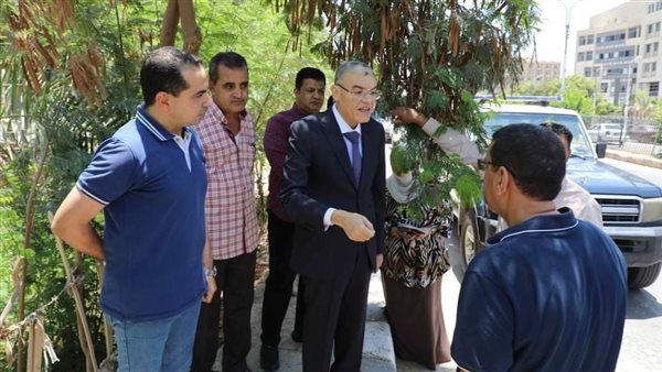 محافظ المنيا