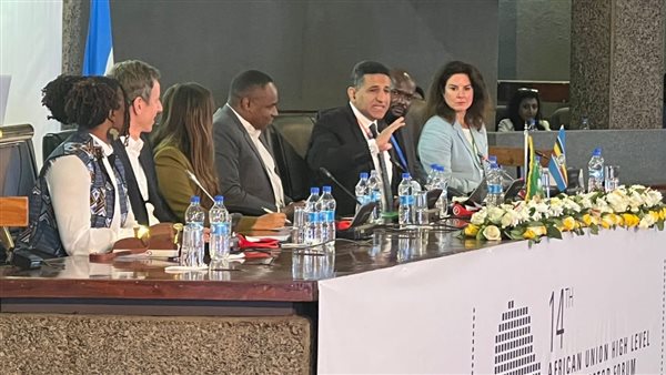 السفير عمرو الجويلي