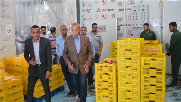 محافظ القليوبية 