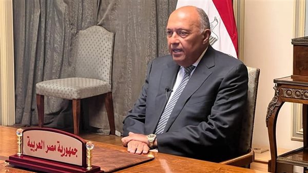 وزير الخارجية 