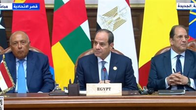 ننشر الكلمة الختامية للرئيس السيسي خلال قمة دول جوار السودان