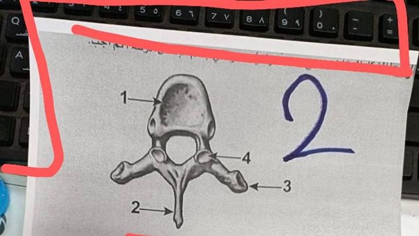 ظهور كيبورد ضمن تداول