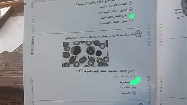 صاحب صورة توثيق الامتحان