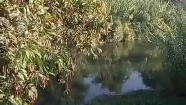 غرقا شقيقين -ارشيفية