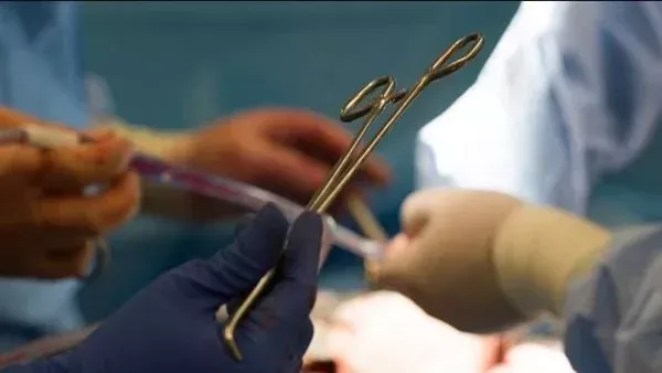 التأمين على الأعضاء