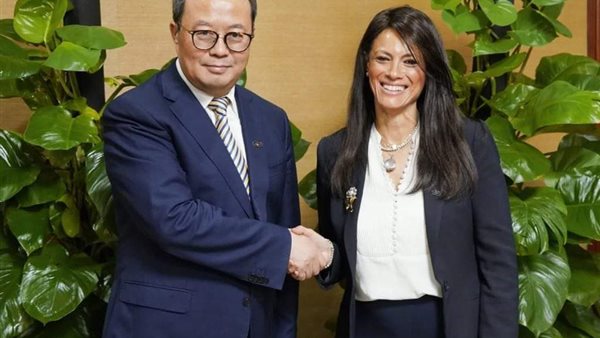 وزيرة التعاون الدولي