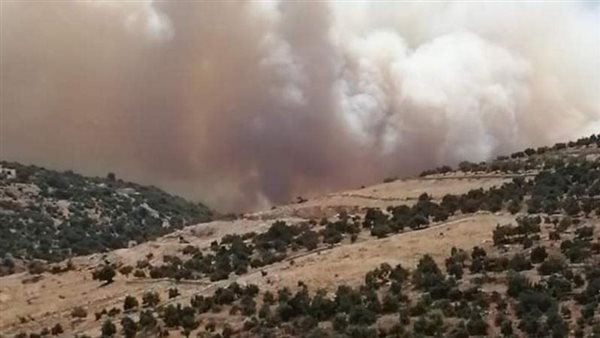 حريق غابات الأردن