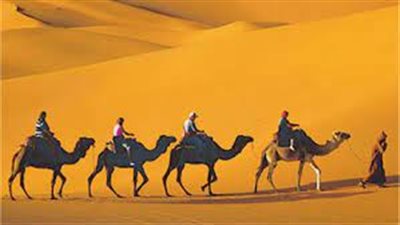 لماذا كانت الهجرة حدثا فاصلا للبشرية كلها؟.. أمين الفتوى يكشف