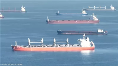 ما بين شروط موسكو وحاجة الدول النامية للغذاء.. آخر تطورات صفقة الحبوب عبر البحر الأسود 