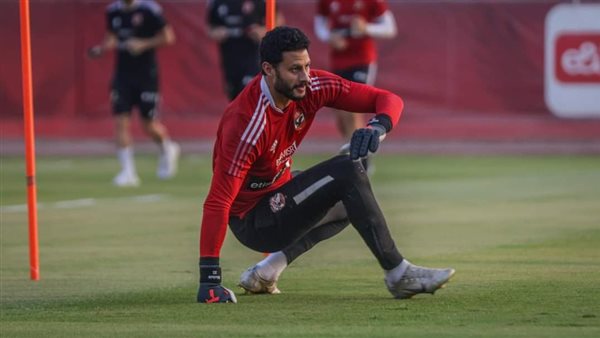 محمد الشناوي