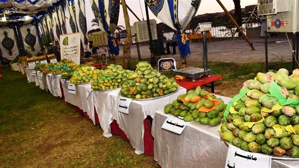 مهرجان مانجو أسوان