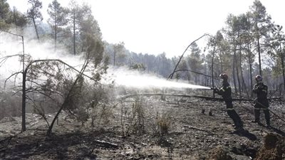 إجلاء آلاف الأشخاص مع انتشار حرائق الغابات في جزيرة إسبانية