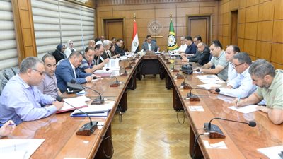 محافظ الدقهلية يناقش أعمال ترفيق 108 أفدنة بالمنطقة الصناعية بجمصة