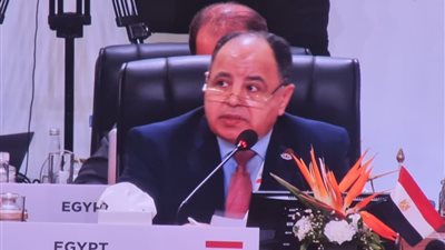 وزير المالية: تطوير الهيكل المالي العالمي لتعزيز المسار التنموي وتسريع التعافي الاقتصادي