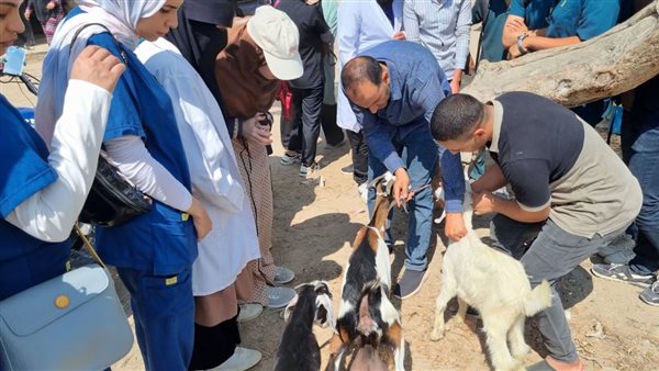 قافلة بيطرية