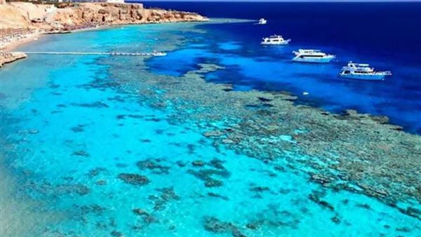 افضل مناطق الغوص