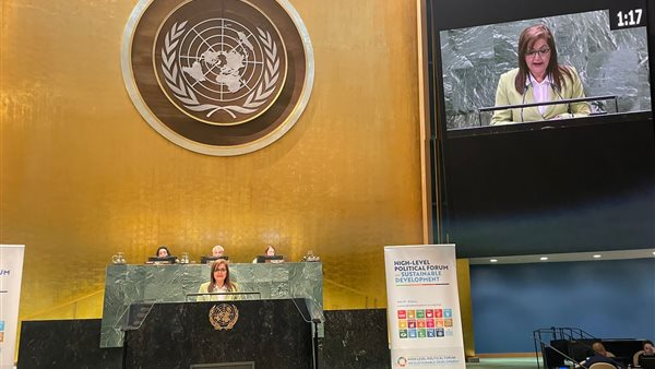 وزيرة التخطيط