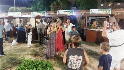 محافظ أسوان يقرر مد فعاليات مهرجان المانجو حتى الخميس المقبل