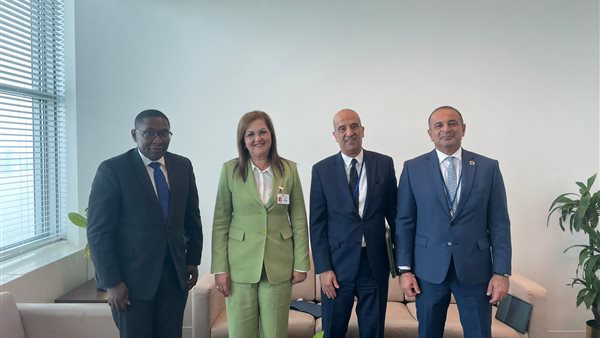 لقاء وزيرة التخطيط