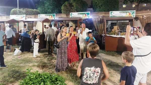 محافظ أسوان