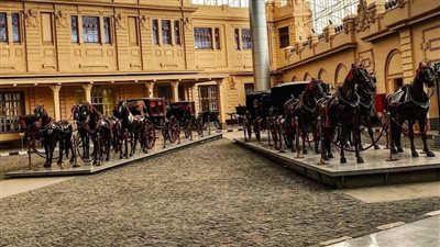 متحف المركبات الملكية يحتفل برأس السنة الهجرية | صور 