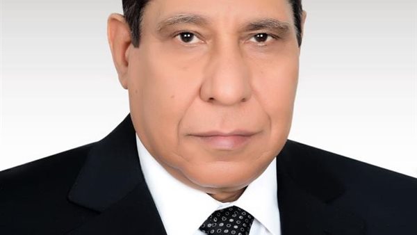 المستشار عادل فهيم