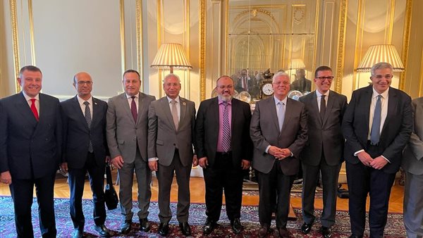 جامعة المنيا