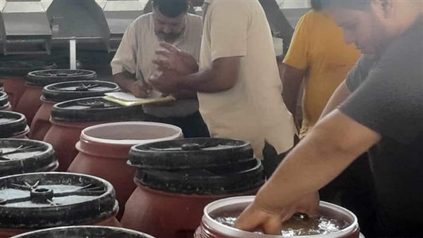 حملات تفتيشية بالمنيا