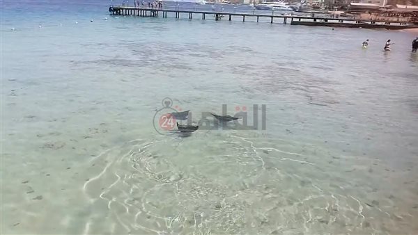 للمرة الثالثة.. ظهور