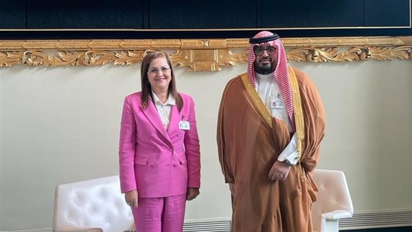 وزيرة التخطيط تلتقي