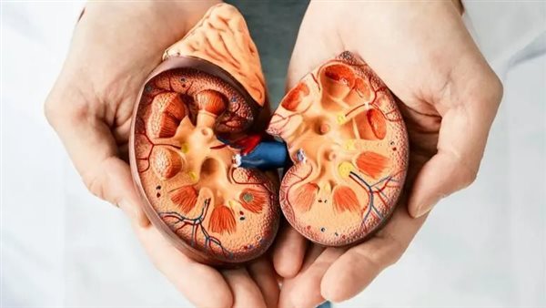 مرض الكلى المزمن