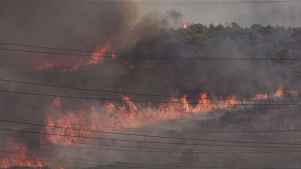 حرائق الغابات في