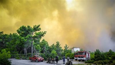 حرائق الغابات.. العثور على 18 جثة محترقة في منتزه داديا الوطني باليونان