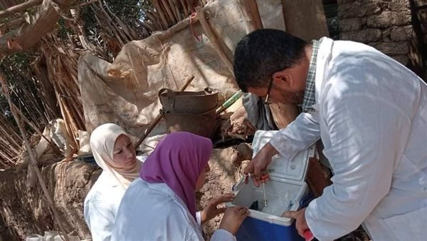 حملات الطب البيطري